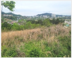  2024Ÿ��22100 �泲 �뿵�� �볲�� ȭ�︮ 44      ����(��1)���