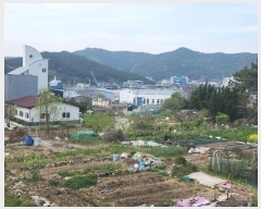  2024Ÿ��22520 �泲 �뿵�� �̼��� 410-1       ������