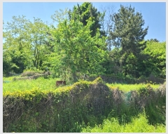  2024Ÿ��24113 �泲 �뿵�� ������ �׸��� 982      ����(��1)���