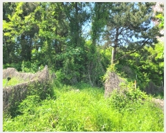  2024Ÿ��24113 �泲 �뿵�� ������ �׸��� 982      ����(��1)���