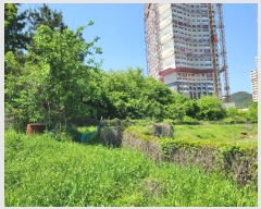  2024Ÿ��24113 �泲 �뿵�� ������ �׸��� 982      ����(��1)���