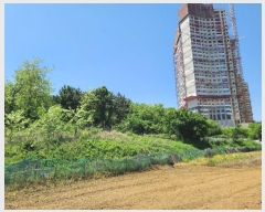  2024Ÿ��24113 �泲 �뿵�� ������ �׸��� 982      ����(��1)���