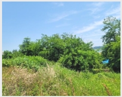  2024Ÿ��24113 �泲 �뿵�� ������ �׸��� 982      ����(��1)���