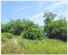  2024Ÿ��24113 �泲 �뿵�� ������ �׸��� 982      ����(��1)���