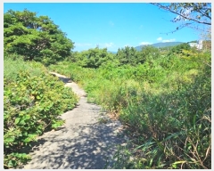  2024Ÿ��28511  ����