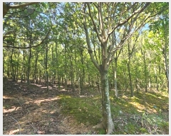  2024Ÿ��28511  ����