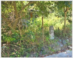  2024Ÿ��28511  ����