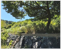  2024Ÿ��28511  ����