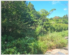  2024Ÿ��28511  ����