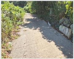  2024Ÿ��28511  ����