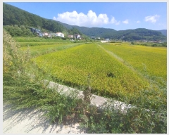  2024Ÿ28757 泲  θ ̸ 73      ()