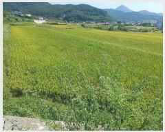  2024Ÿ28757 泲  θ ̸ 73      ()