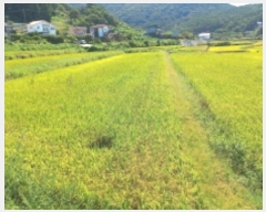  2024Ÿ28757 泲  θ ̸ 73      ()