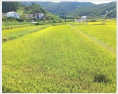  2024Ÿ28757 泲  θ ̸ 73      ()