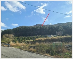  2024Ÿ��29385 �泲 ������ ���θ� ������ ��71-17      ����(�Ӿ�)���