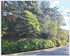  2024Ÿ��29385 �泲 ������ ���θ� ������ ��71-17      ����(�Ӿ�)���