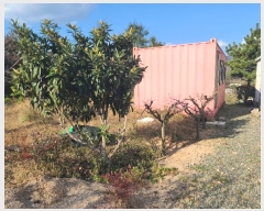  2024Ÿ��29385 �泲 ������ ���θ� ������ ��71-17      ����(�Ӿ�)���