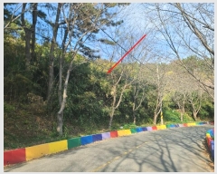  2024Ÿ31173 泲  ̸ ͷ渮 497      ()