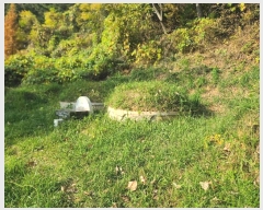  2024Ÿ31173 泲  ̸ ͷ渮 497      ()