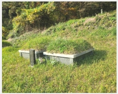  2024Ÿ31173 泲  ̸ ͷ渮 497      ()