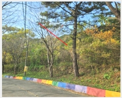  2024Ÿ31173 泲  ̸ ͷ渮 497      ()