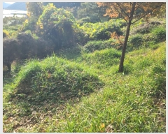  2024Ÿ31173 泲  ̸ ͷ渮 497      ()