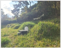  2024Ÿ31173 泲  ̸ ͷ渮 497      ()