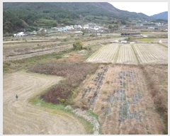  2024Ÿ31258 泲  д 渮 591      ()