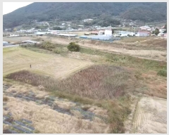  2024Ÿ31258 泲  д 渮 591      ()