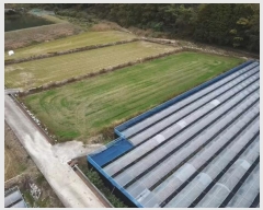  2024Ÿ31258 泲  д 渮 591      ()