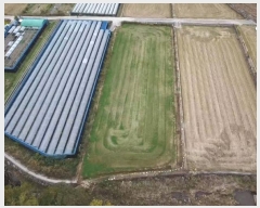  2024Ÿ31258 泲  д 渮 591      ()