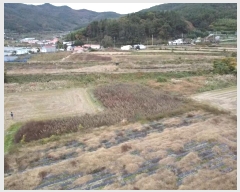  2024Ÿ31258 泲  д 渮 591      ()