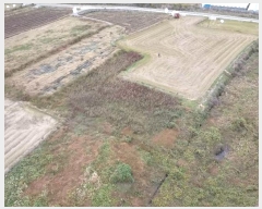  2024Ÿ31258 泲  д 渮 591      ()