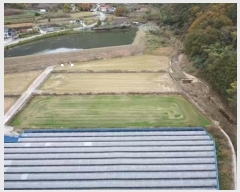  2024Ÿ31258 泲  д 渮 591      ()