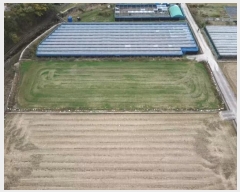  2024Ÿ31258 泲  д 渮 591      ()