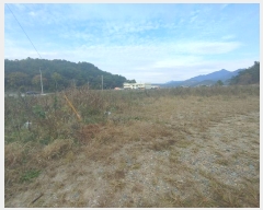  2024Ÿ��31579 �泲 �뿵�� ����� ������ 99-9      ����(��)���