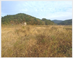  2024Ÿ��31579 �泲 �뿵�� ����� ������ 99-9      ����(��)���