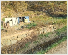  2024Ÿ��31579 �泲 �뿵�� ����� ������ 99-9      ����(��)���