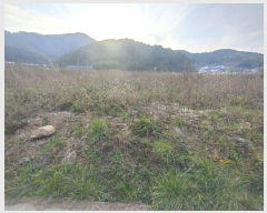  2024Ÿ��31579 �泲 �뿵�� ����� ������ 99-9      ����(��)���