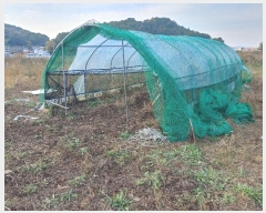  2024Ÿ��31579 �泲 �뿵�� ����� ������ 99-9      ����(��)���