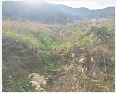  2024Ÿ��31579 �泲 �뿵�� ����� ������ 99-9      ����(��)���