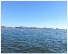  2024Ÿ��31661  ����ǰ��