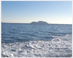  2024Ÿ��31661  ����ǰ��