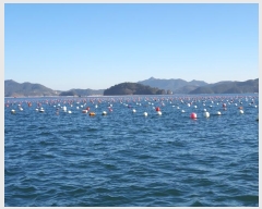  2024Ÿ��31661  ����ǰ��