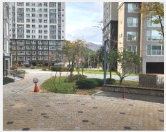  2024Ÿ��31746  ����Ʈ���