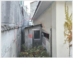  2024Ÿ��31838  �������