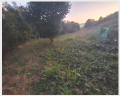  2024Ÿ32084 泲  Ͽ  172      ܵ,ð