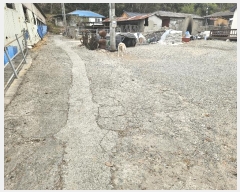  2024Ÿ32190 泲   縮 620-3      ()