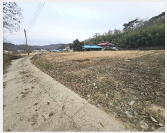  2024Ÿ32190 泲   縮 620-3      ()