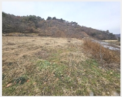  2024Ÿ32190 泲   縮 620-3      ()